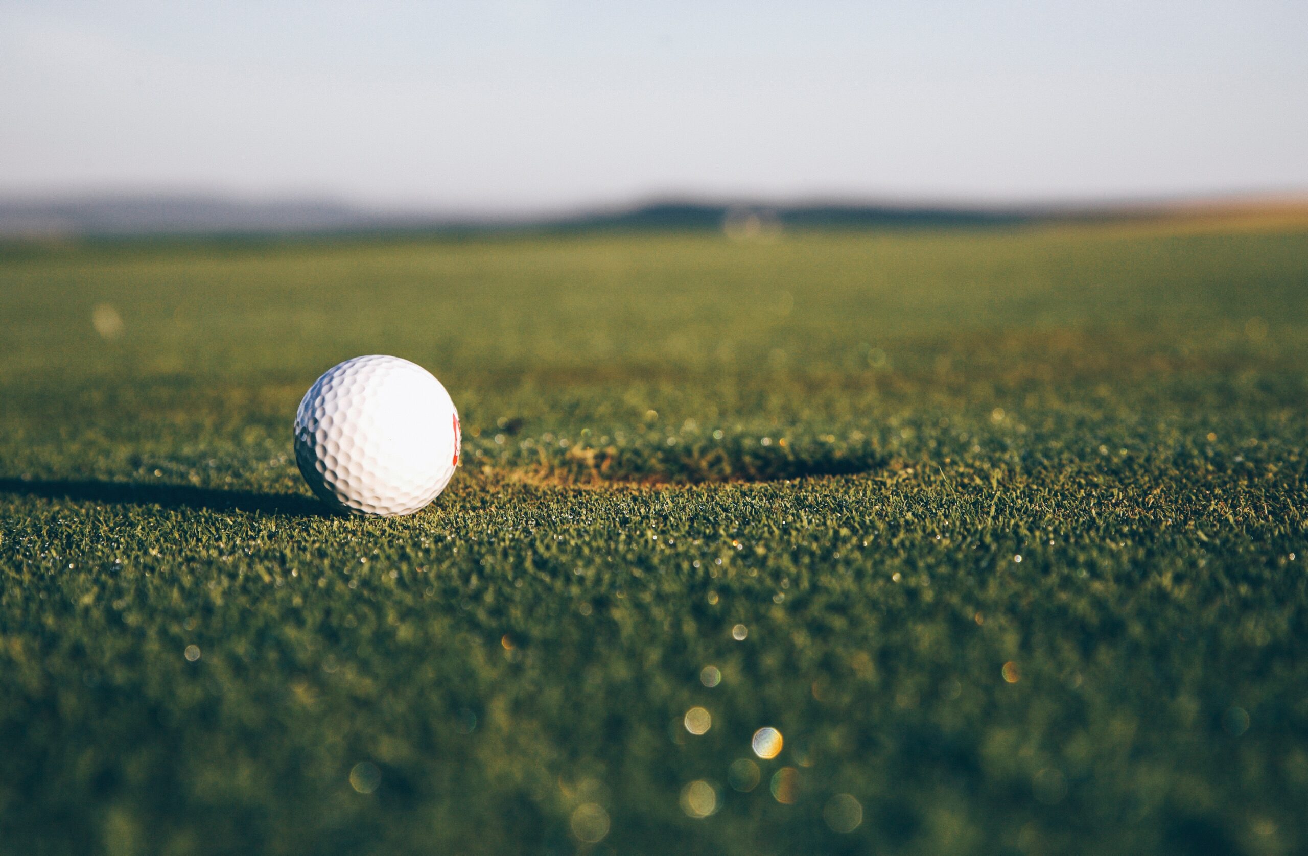 golf ball in the field stock photo